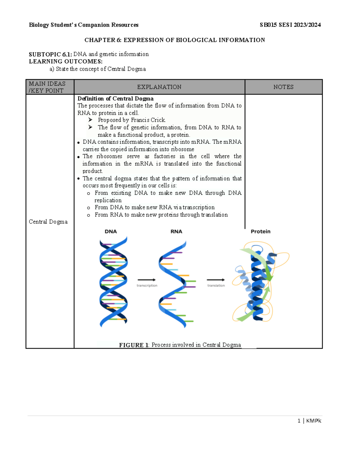 Chapter 6 - completed - CHAPTER 6: EXPRESSION OF BIOLOGICAL INFORMATION ...