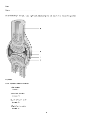 Ch 05 Test Bank - Practice Material - Human Anatomy & Physiology, 10e ...