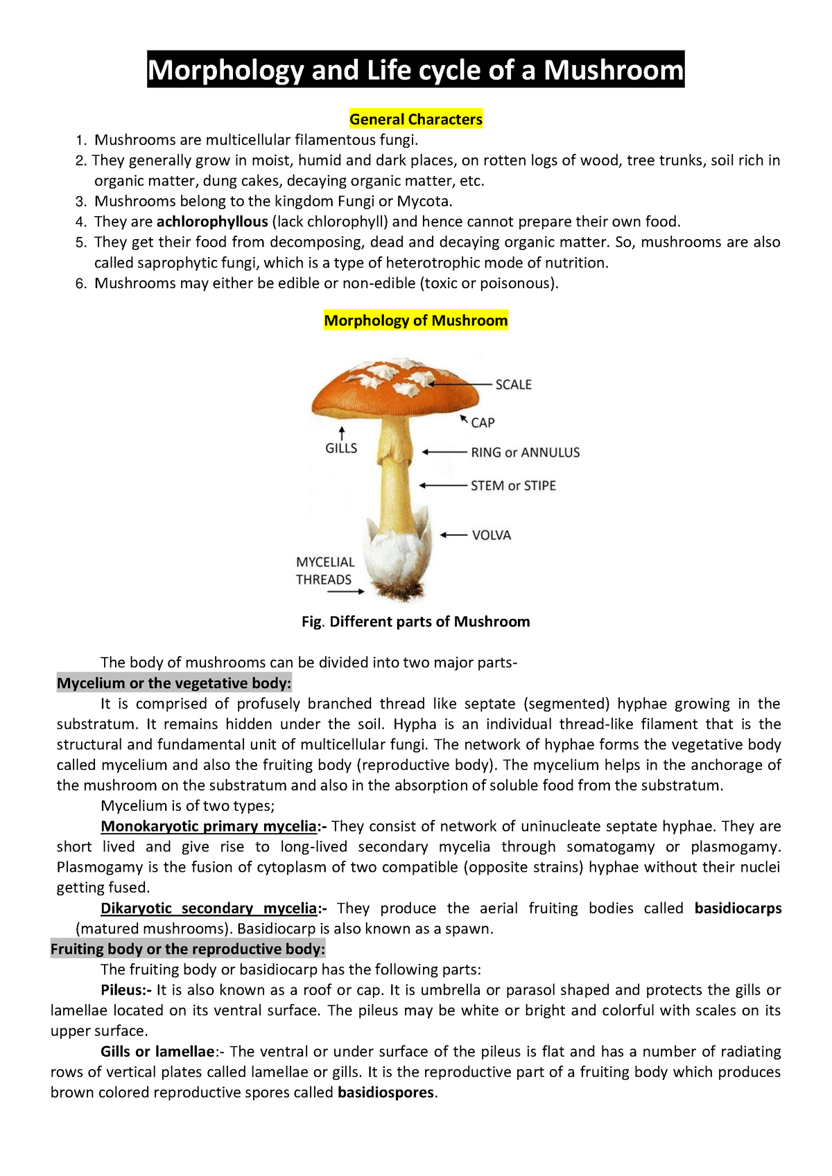 Mushroom morphology - Morphology and Life cycle of a Mushroom General ...