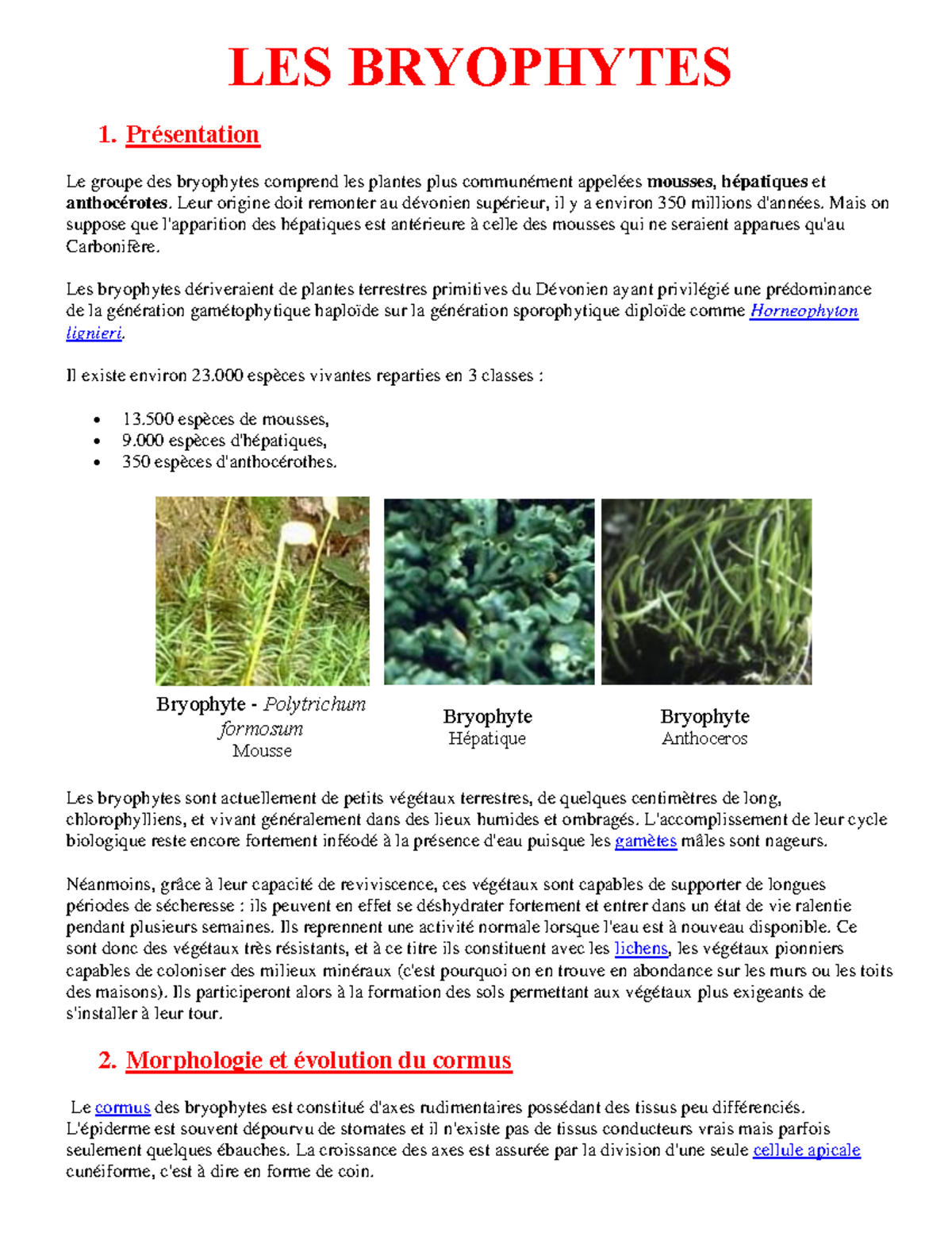 Les bryophytes - LES BRYOPHYTES 1. Présentation Le groupe des ...