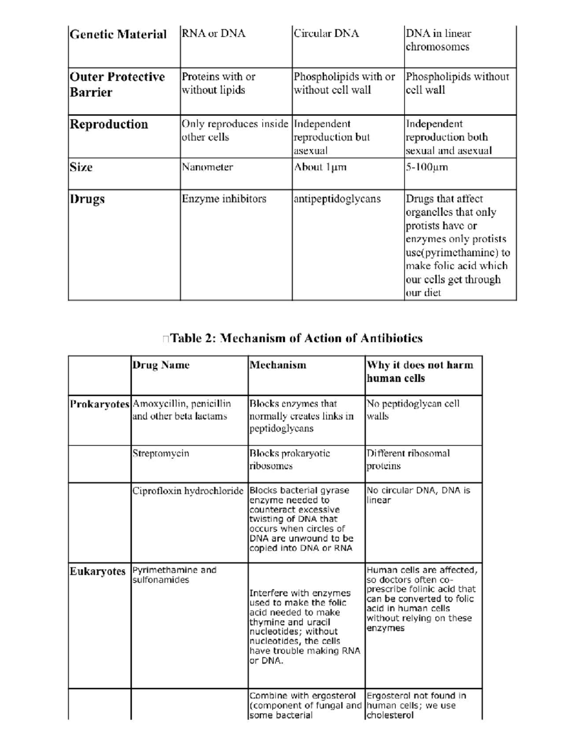 cell structure case study