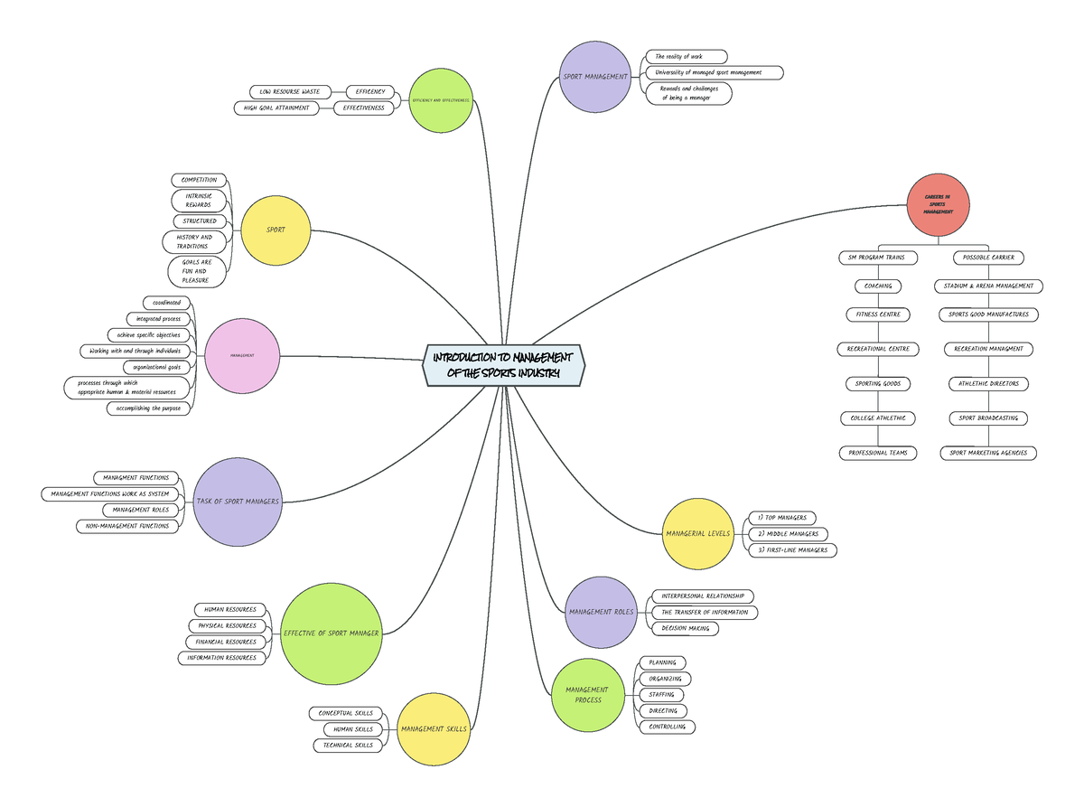 Introduction TO Management OF THE Sports Industry - SPORT MANAGEMENT ...