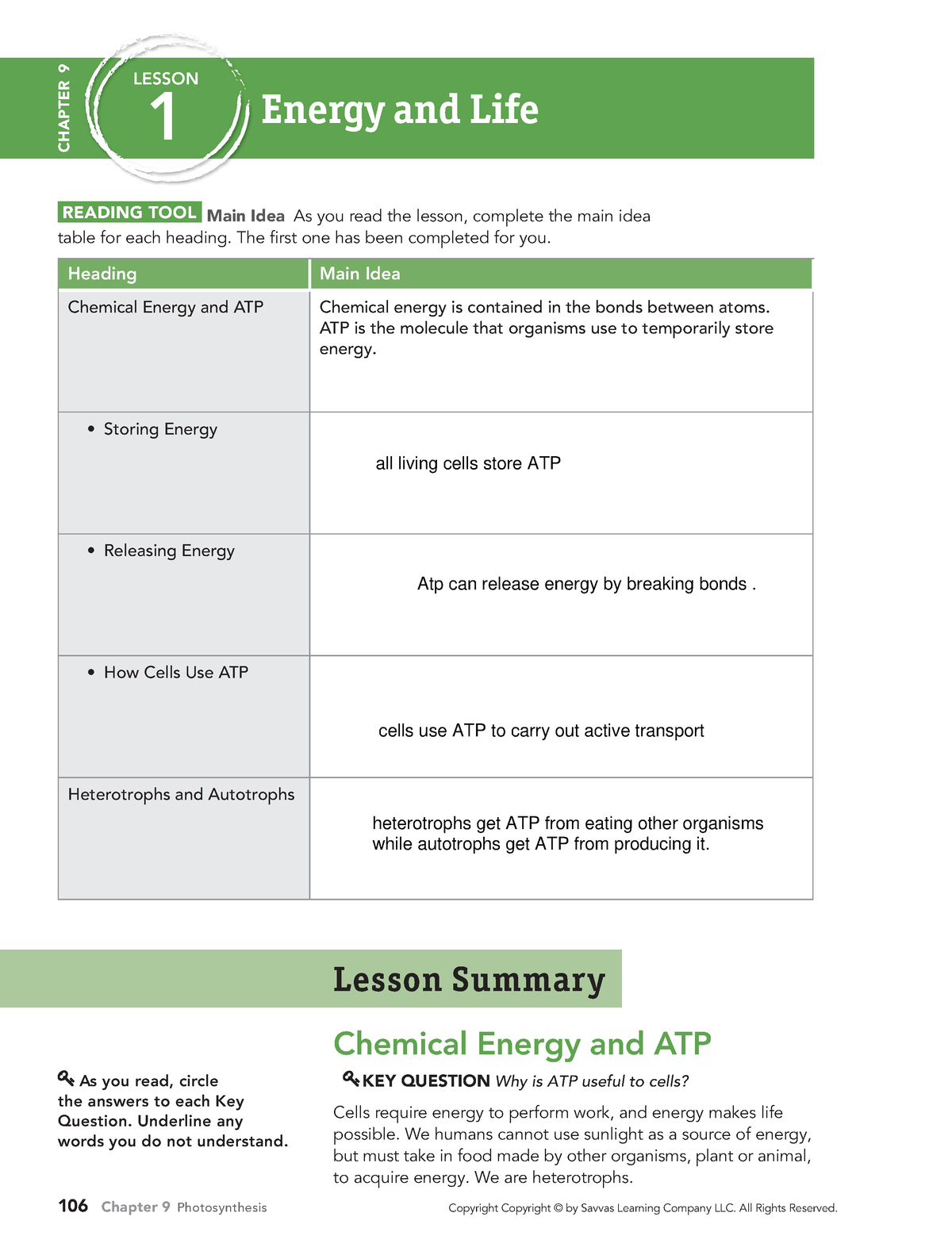 bio-ch09-foundations-for-ap-bio-students-chapter-9-lesson-1-energy
