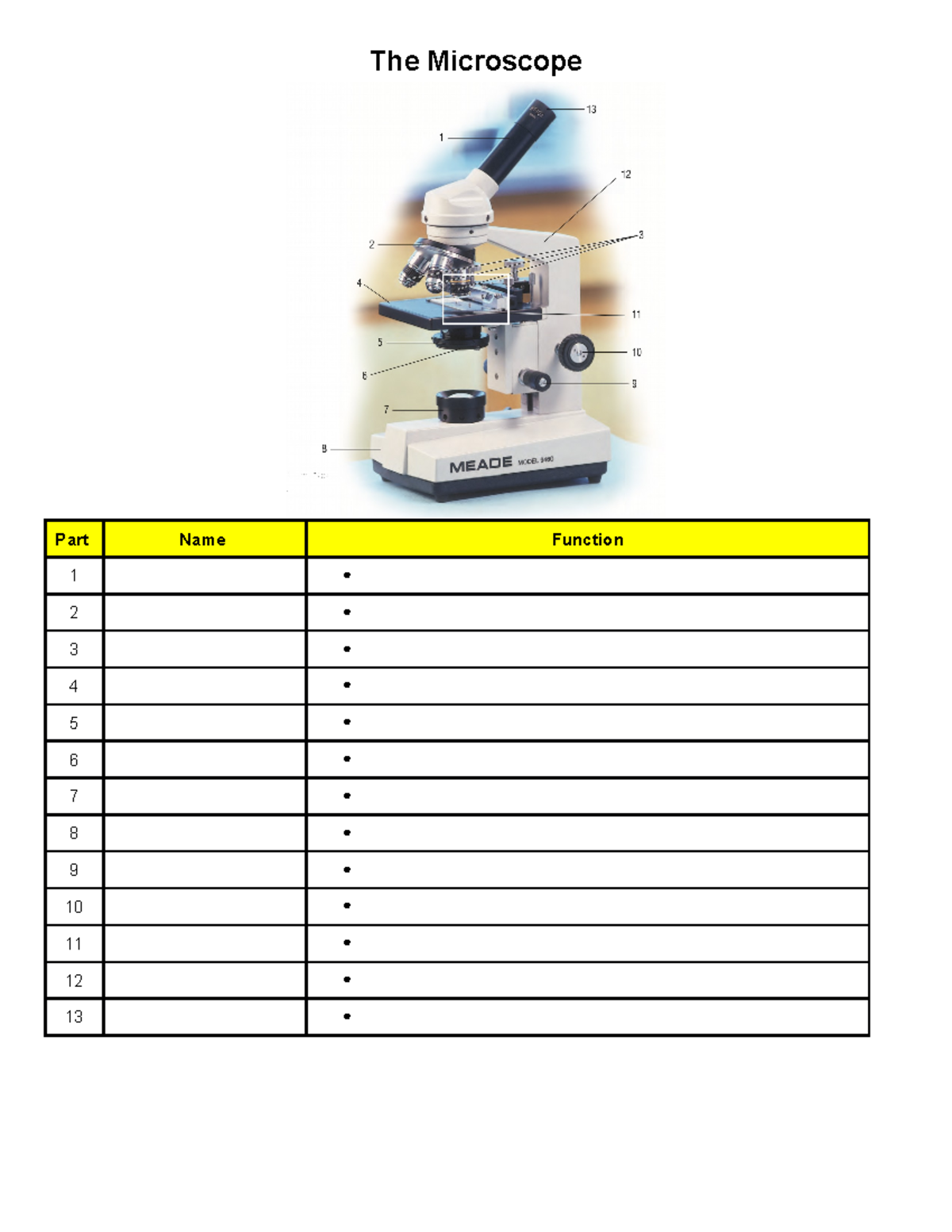 Nichoals trigiani - 1.1B Bio 2 - The Microscope - The Microscope Part ...