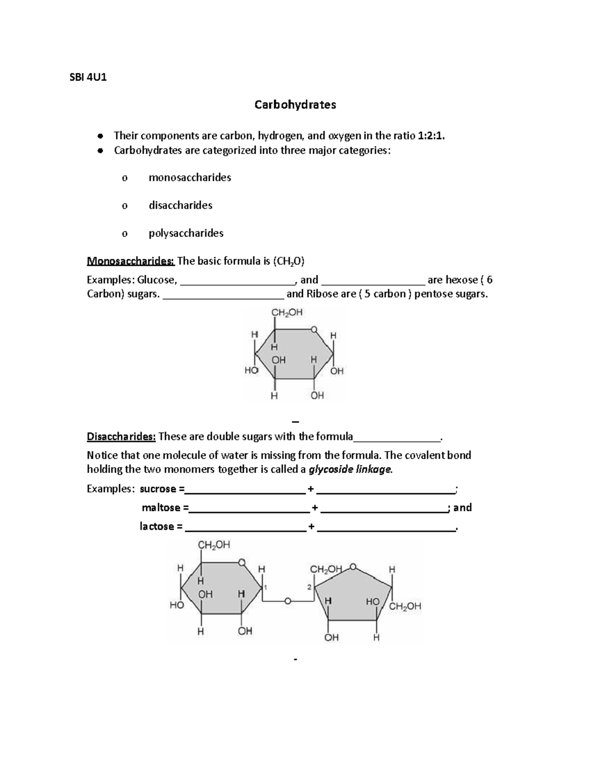 Carbohydrates Worksheet - SBI 4U Carbohydrates Their Components Are ...