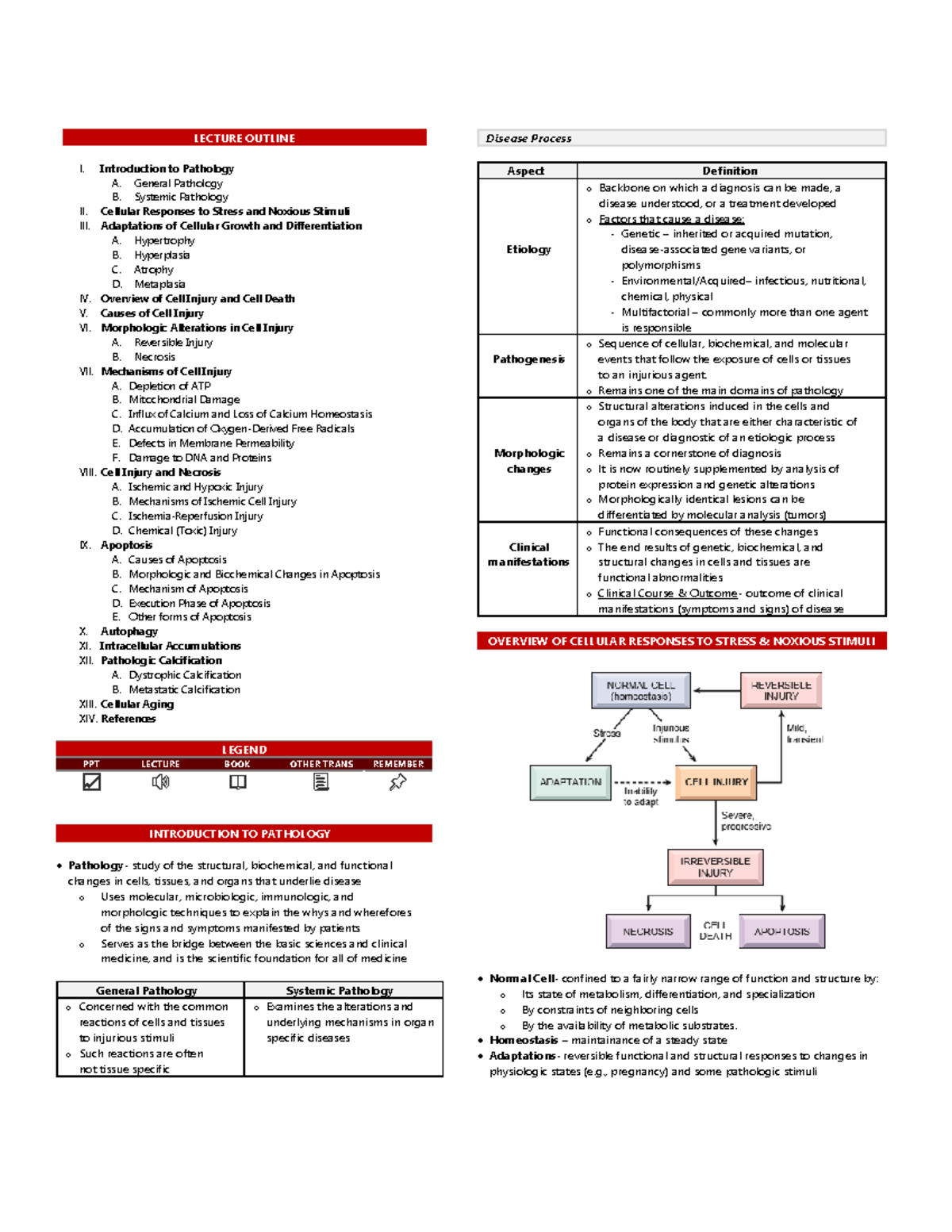 Toxic Insults in Cell - LECTURE OUTLINE I. Introduction to Pathology A ...