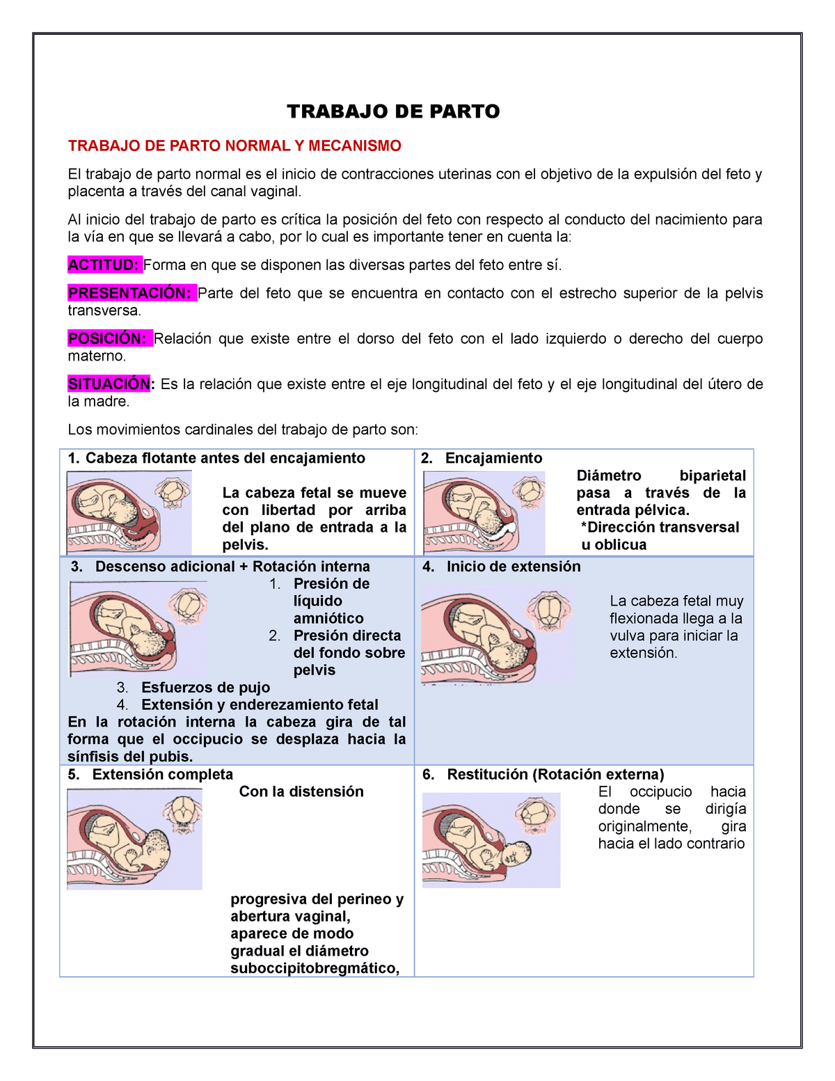 Mecanismo De Trabajo De Parto Wraptips 0352