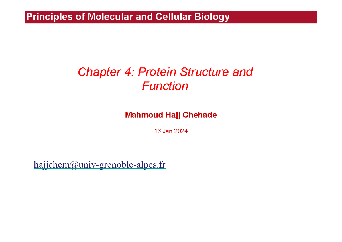 Chapter 4 Proteins - 1 Principles of Molecular and Cellular Biology ...