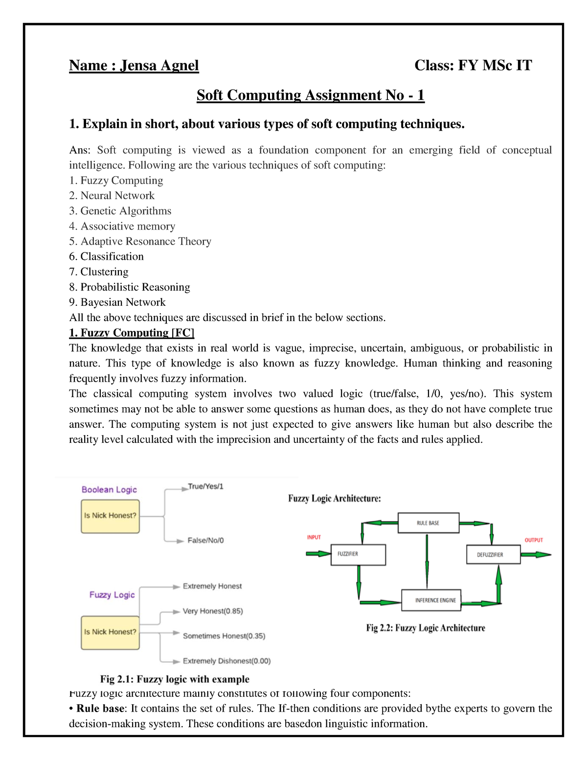 soft computing assignment questions