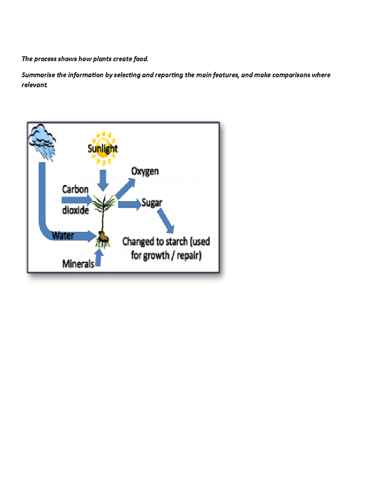 Handout Process chứ gì nữa The process shows how plants create food