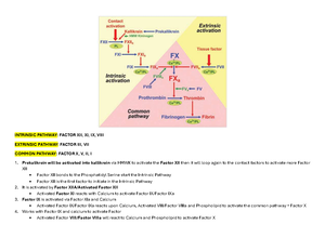 BB Review Questions Rodaks - Hematology 2 - Studocu