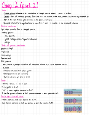 Biol Notes-28 - Anatomy and Physiology 1 lecture notes - BIOL221 - Studocu