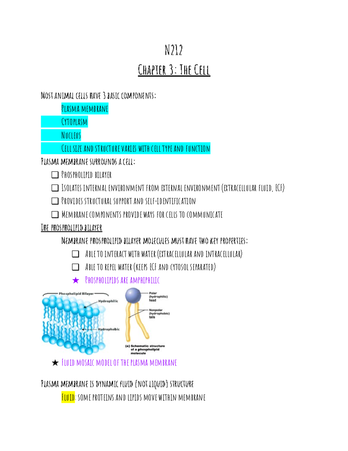 Bio- N212 Ch. 3 Notes - N Chapter 3: The Cell Most animal cells have 3 ...