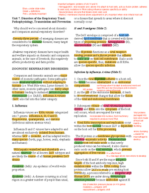 Full Unit 3 notes on Antimicrobials - Unit 3. Antimicrobials for ...