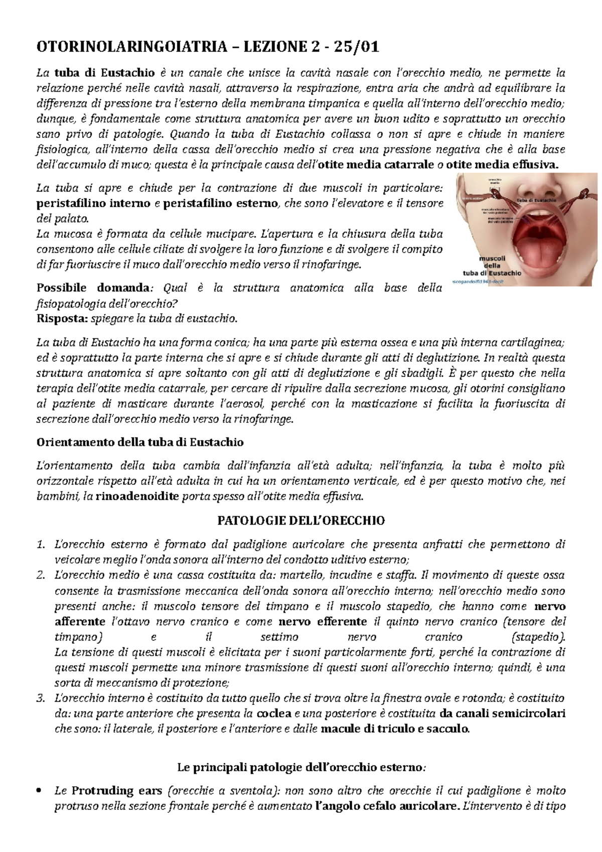 ORL Lezione 2 Otorinolaringoiatria OTORINOLARINGOIATRIA LEZIONE