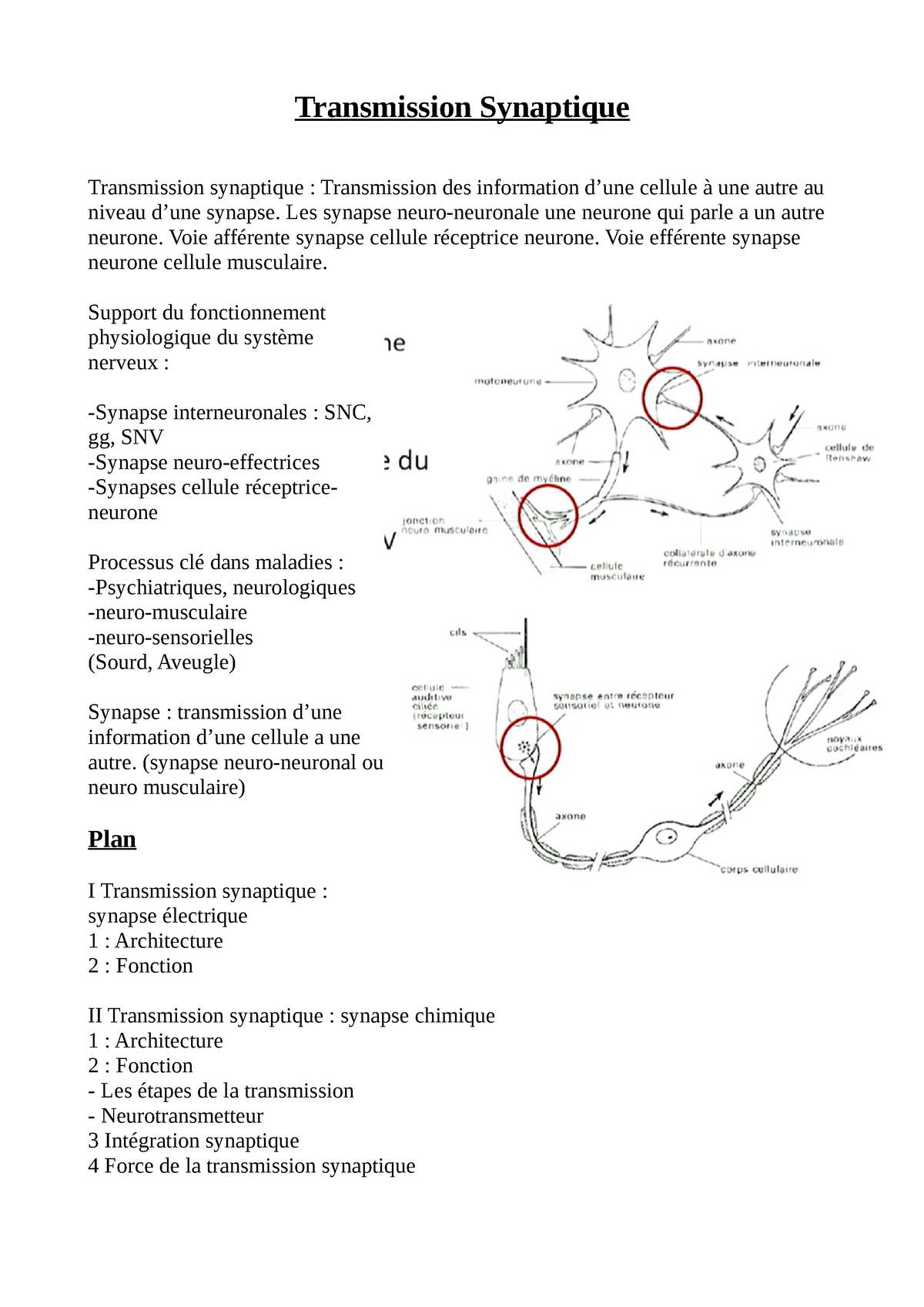 1. Transmission Synaptique - Transmission Synaptique Transmission ...