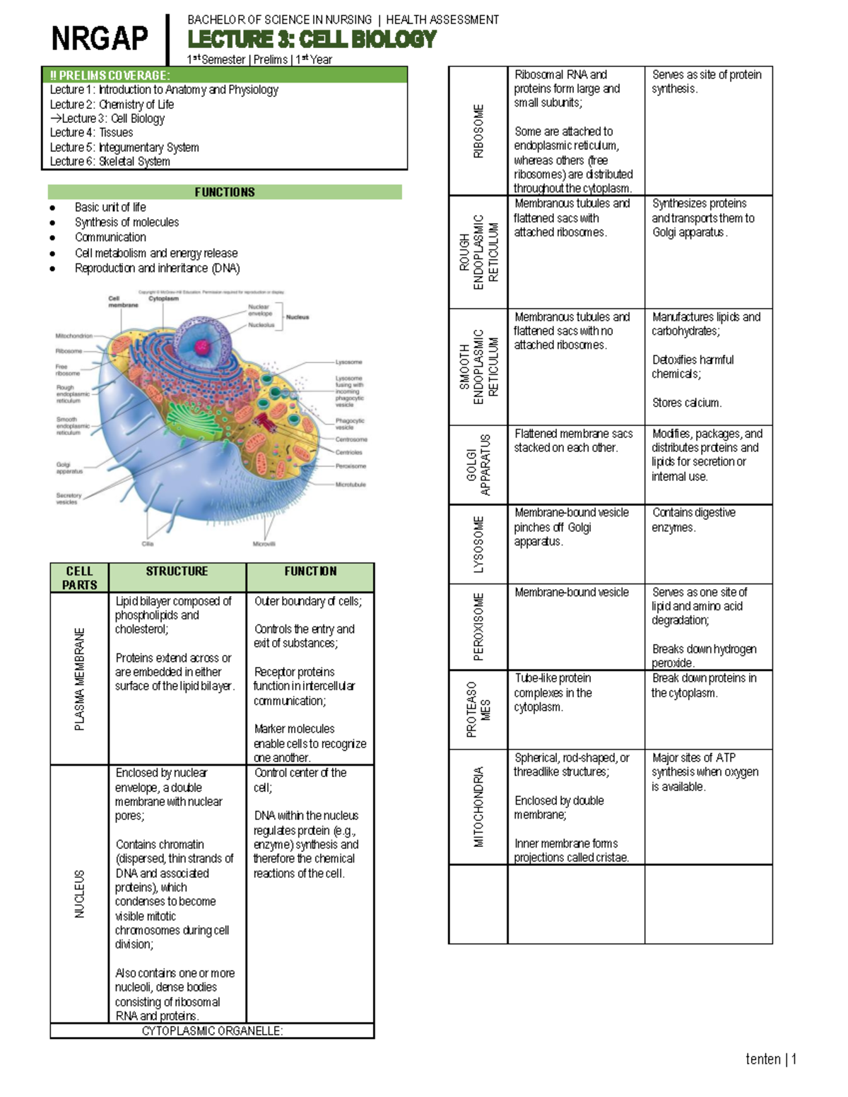 Anatomy and Physiology - Lecture 3 - BACHELOR OF SCIENCE IN NURSING ...