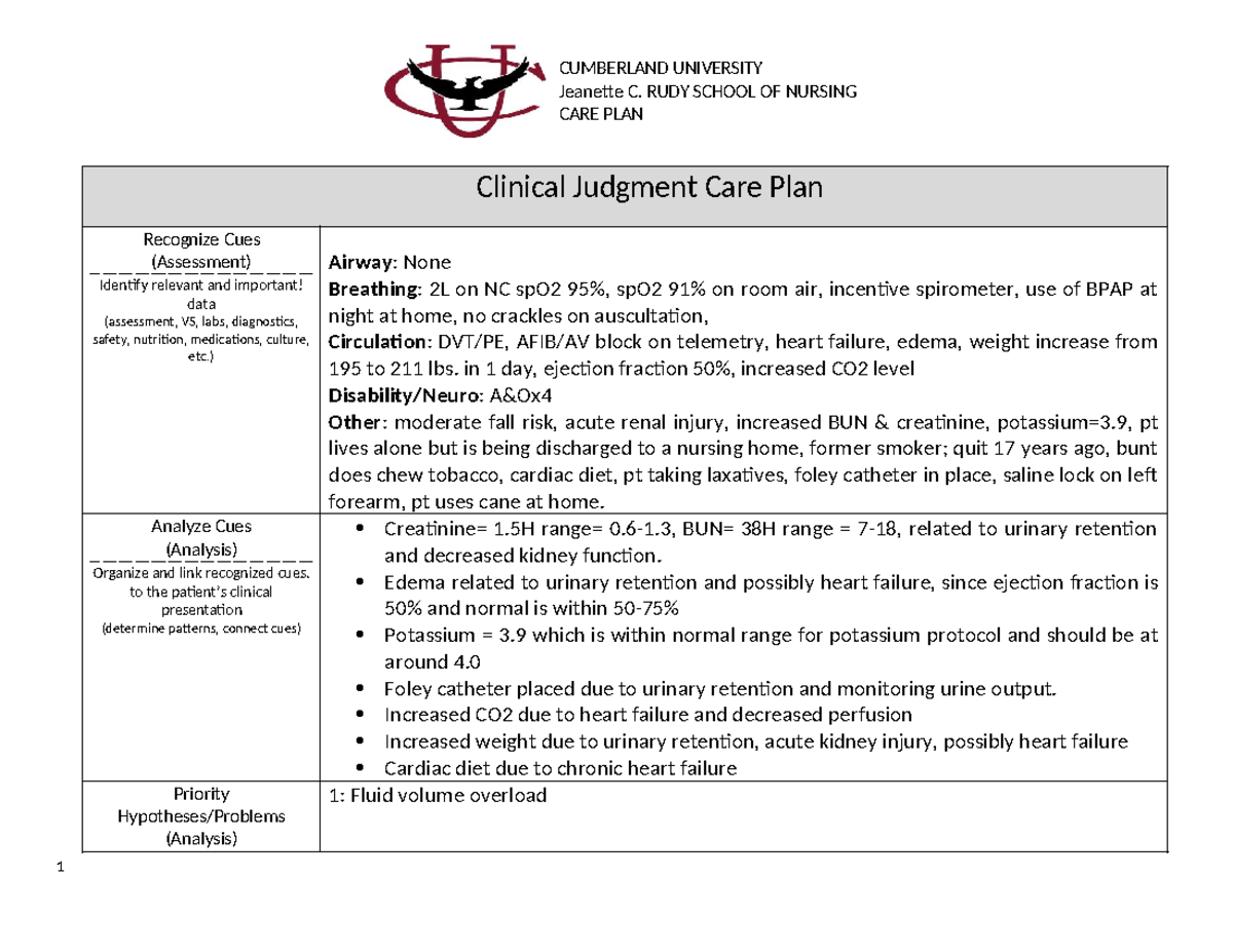 Care plan 33 - care plan example - Jeanette C. RUDY SCHOOL OF NURSING ...