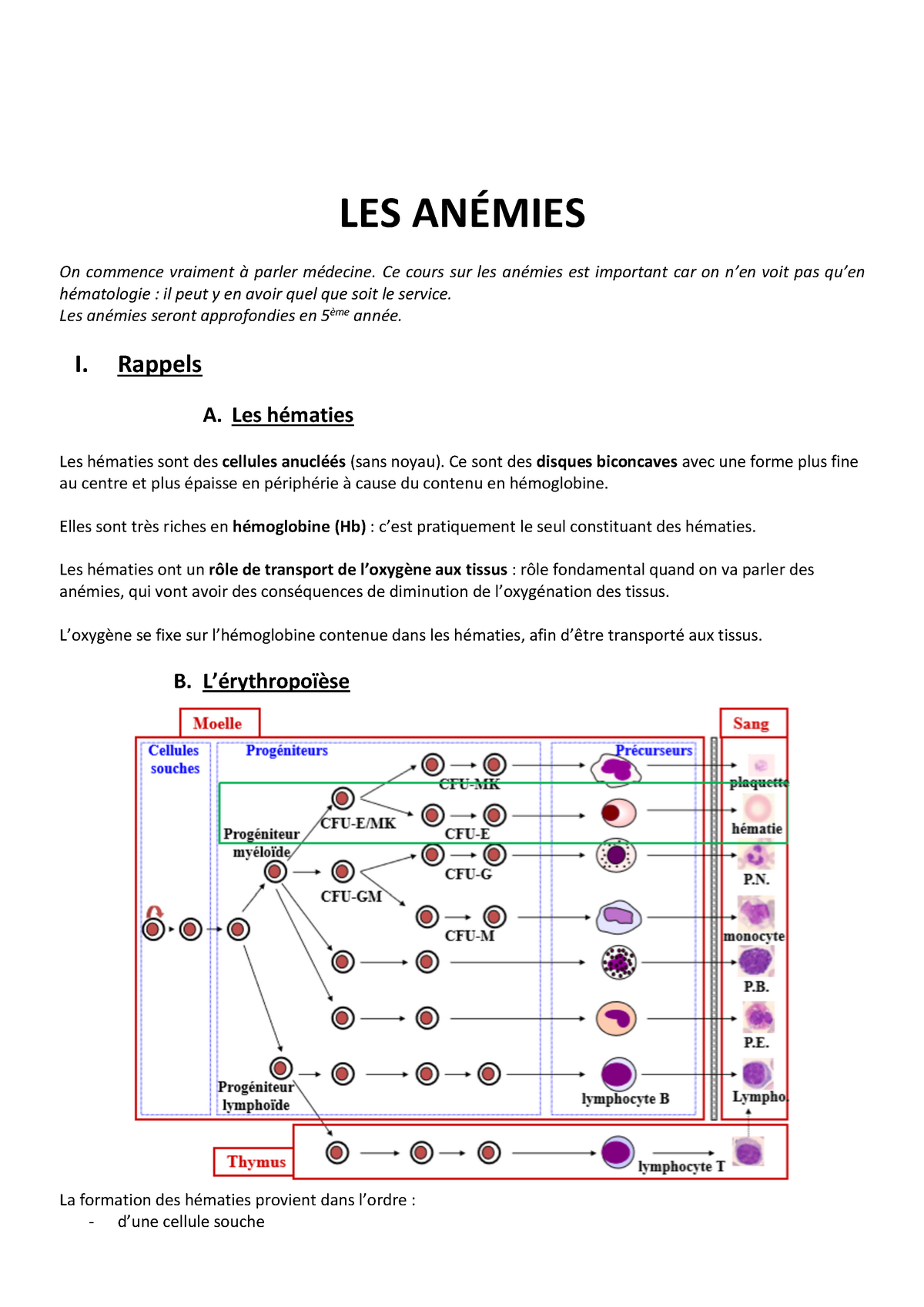 Anémies Cours De Médecine Année Universitaire 2018 2019 Matière