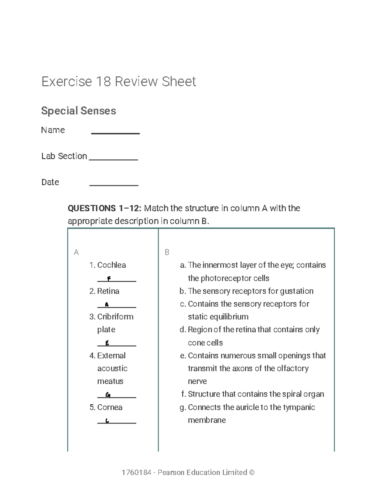 Lab Lab Assignment Completed Exercise Review Sheet Special