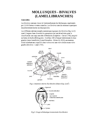 Chronostrat Chart 2023-04 - stratigraphy v 2023 / 72 ±0. 83 ±0. 86 ±0 ...