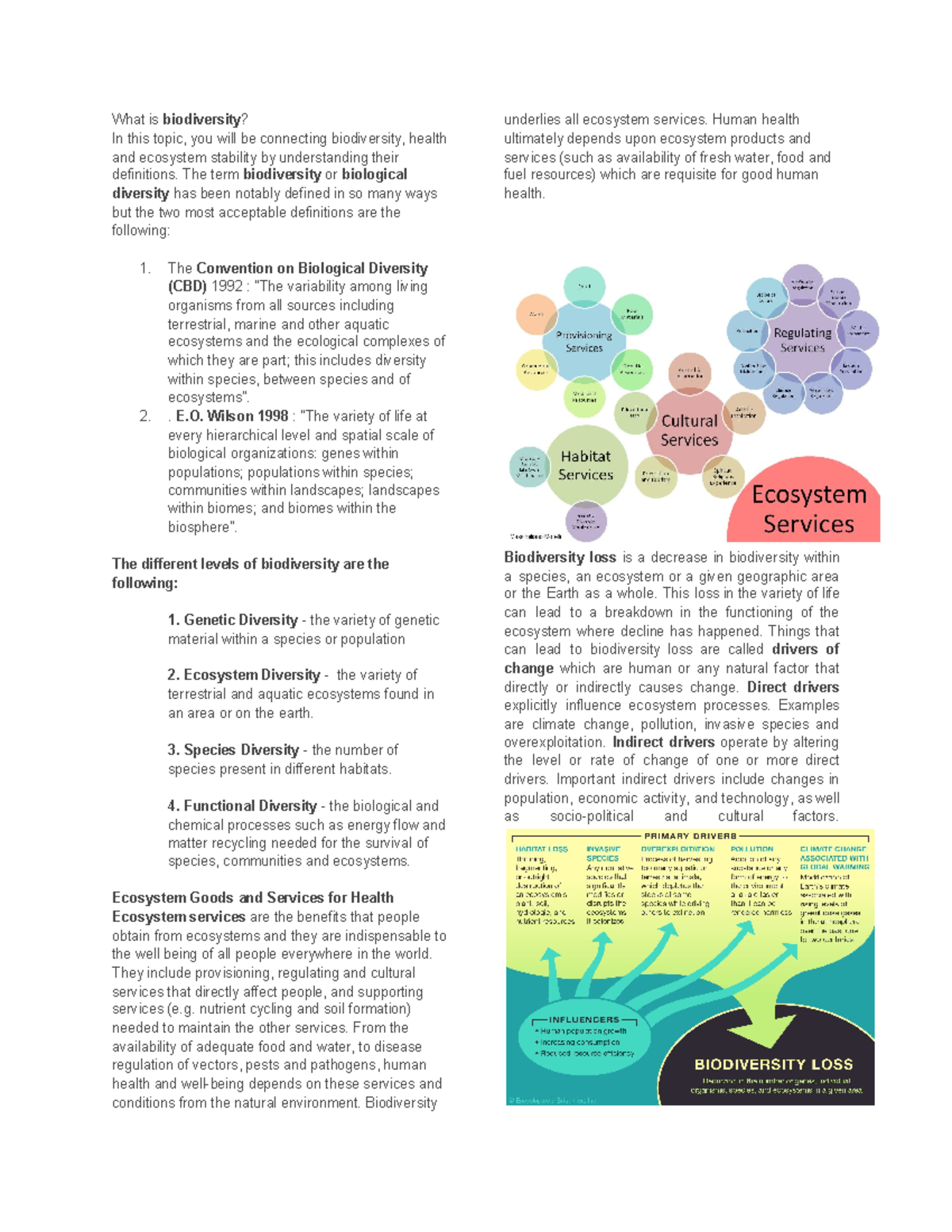 Biodiversity Ecosystem Stability and Endangered Species Acts - What is ...
