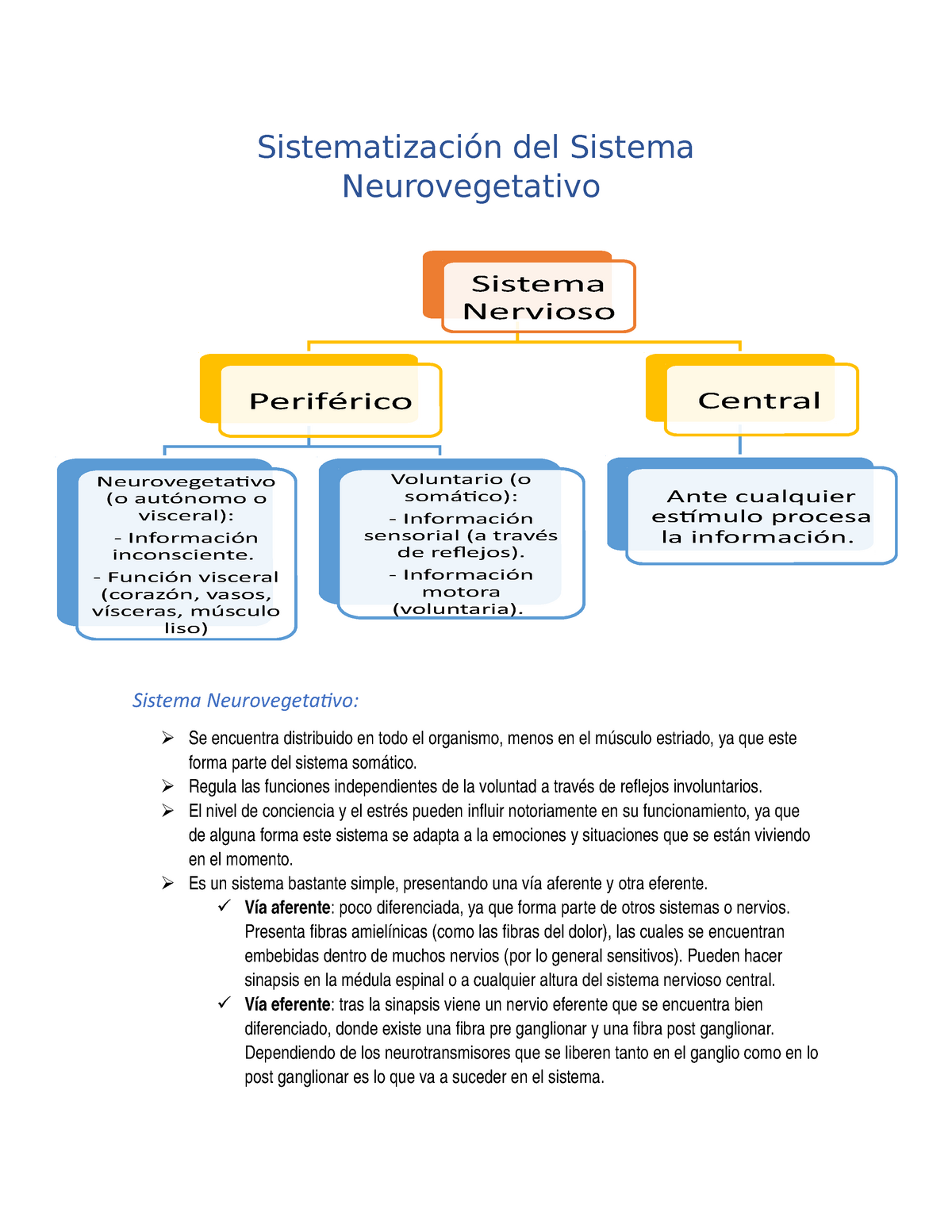 12 Sistematizacion Del Sistema Neurovegetativo Studocu