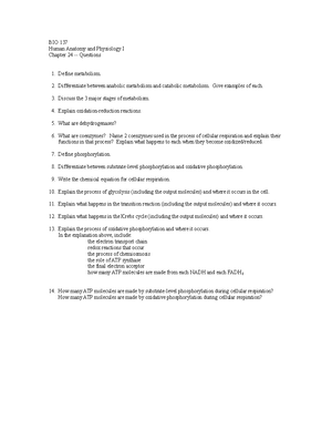 chapter 6 Integumentary System - Chapter 6- THE INTEGUMENTARY SYSTEM ...