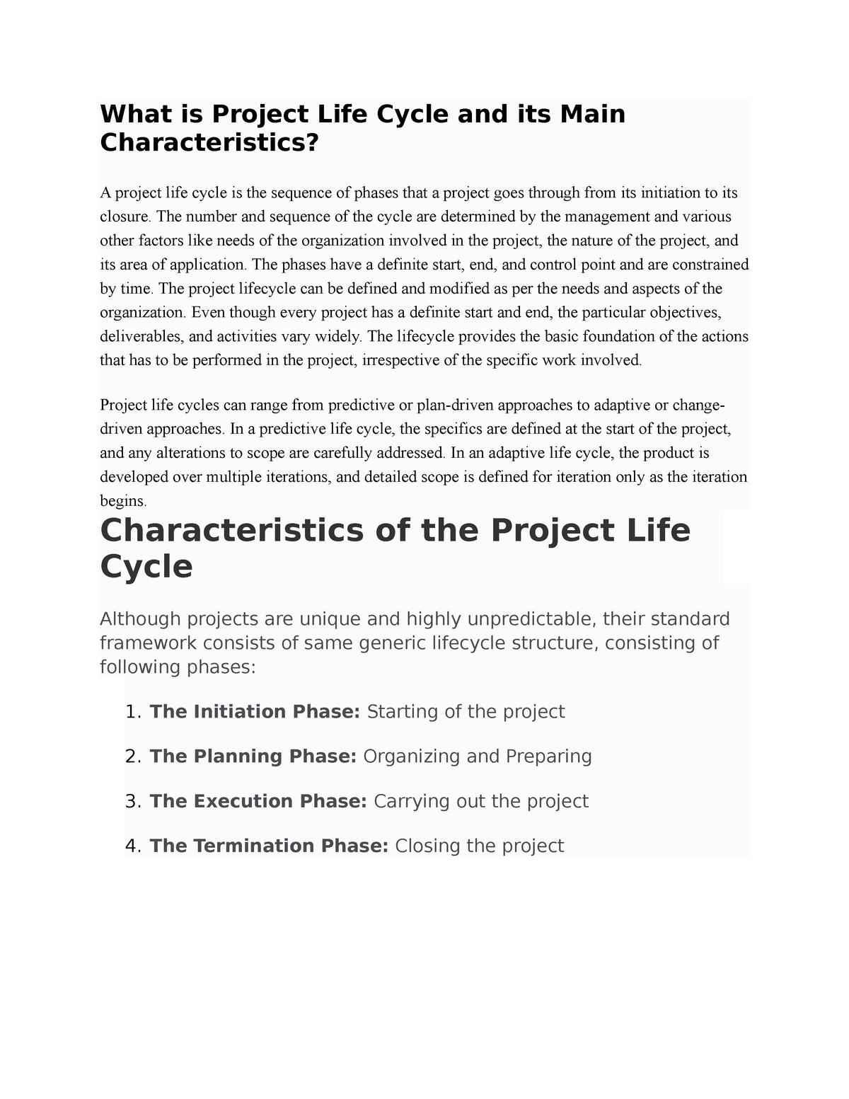 project life cycle essay