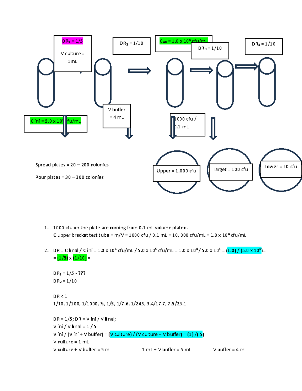 24M calculations - Summary Biology - Spread plates = 20 – 200 colonies ...