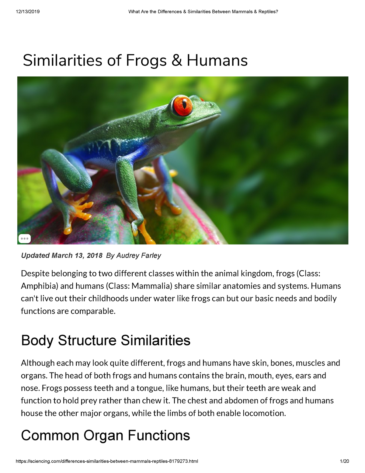 What are the differences similarities between mammals reptiles