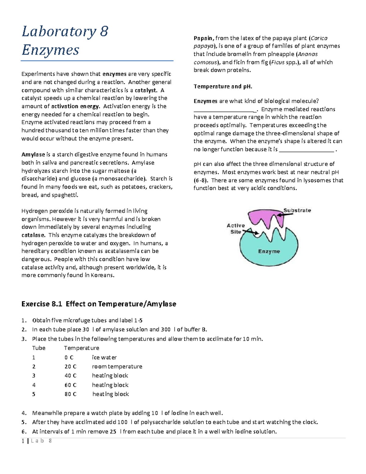Lab 8-Enzymes - lab handout - 1 | L a b 8 E n z y m e s Laboratory 8 ...