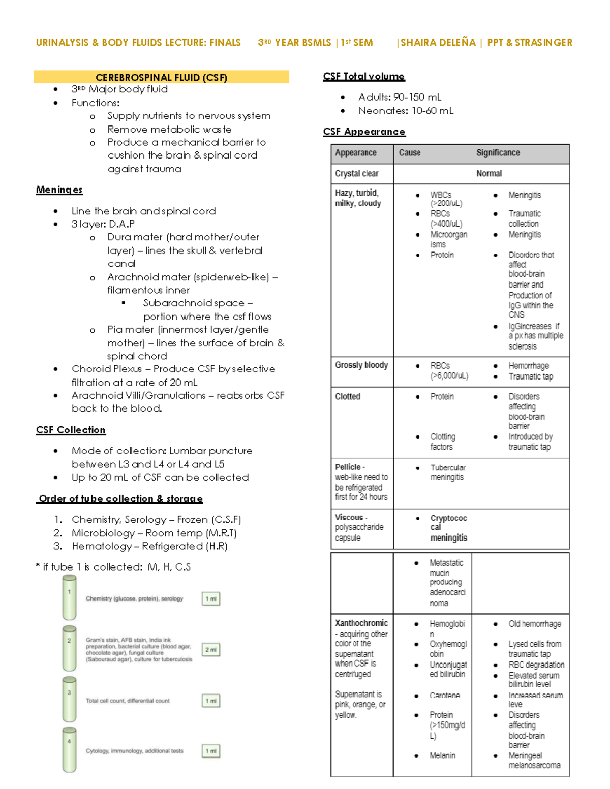 Cerebrospinal Fluid - CSF - CEREBROSPINAL FLUID (CSF) 3 RD Major body ...