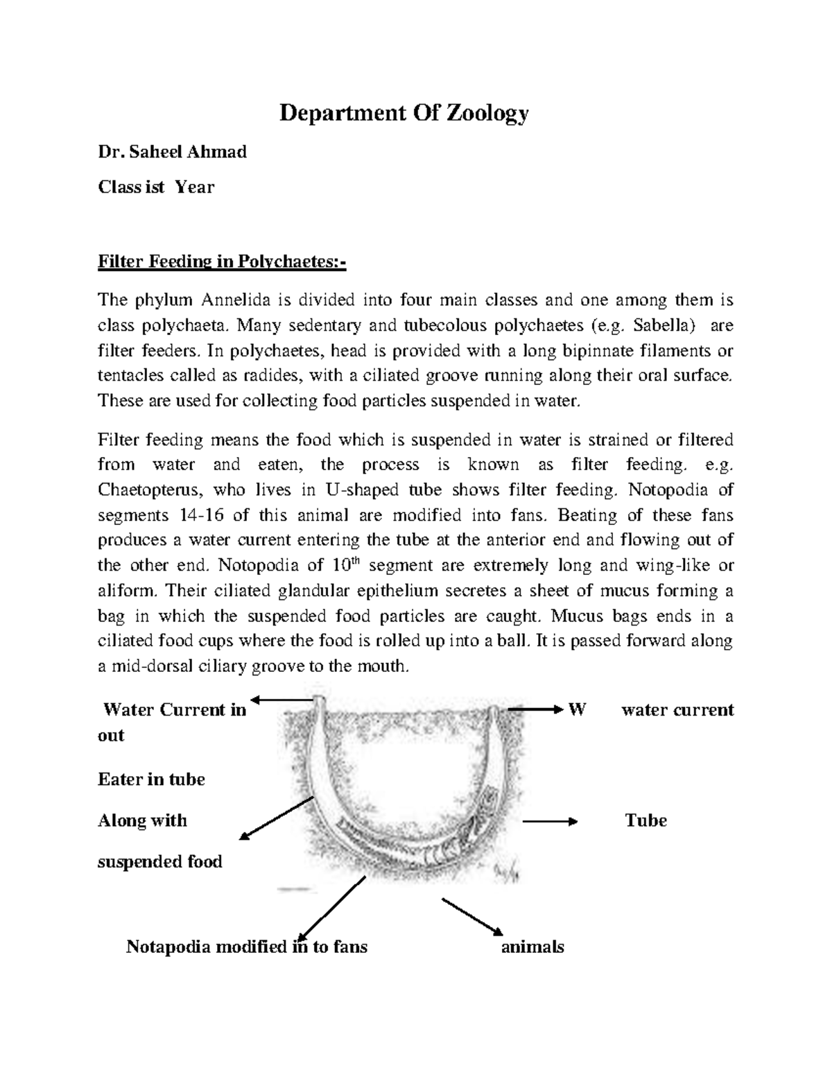 004859726 Studying Department Of Zoology Dr. Saheel Ahmad Class ist