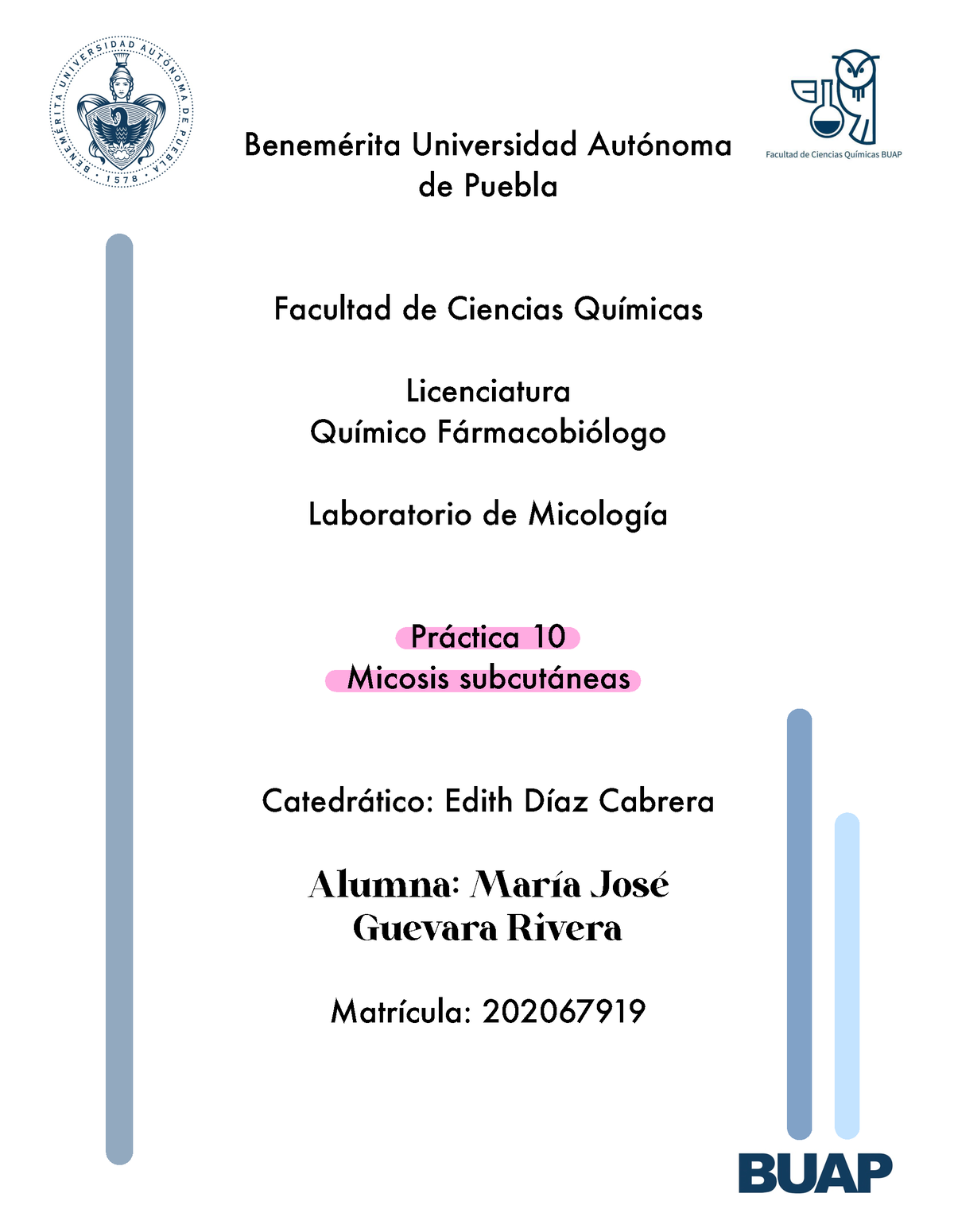 Reporte 10 Práctica 10 Benemérita Universidad Autónoma De Puebla Facultad De Ciencias 8075