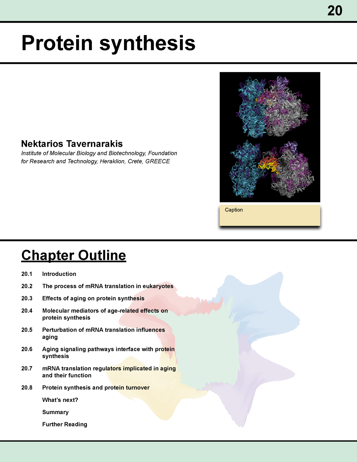 research paper about protein synthesis