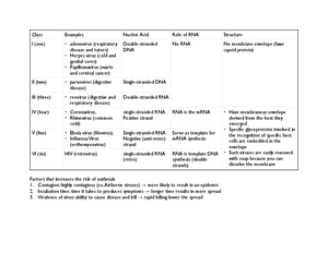 Chapter+7+Review+Sheet+2 - Chapter 7 Study Guide Fill in the best ...