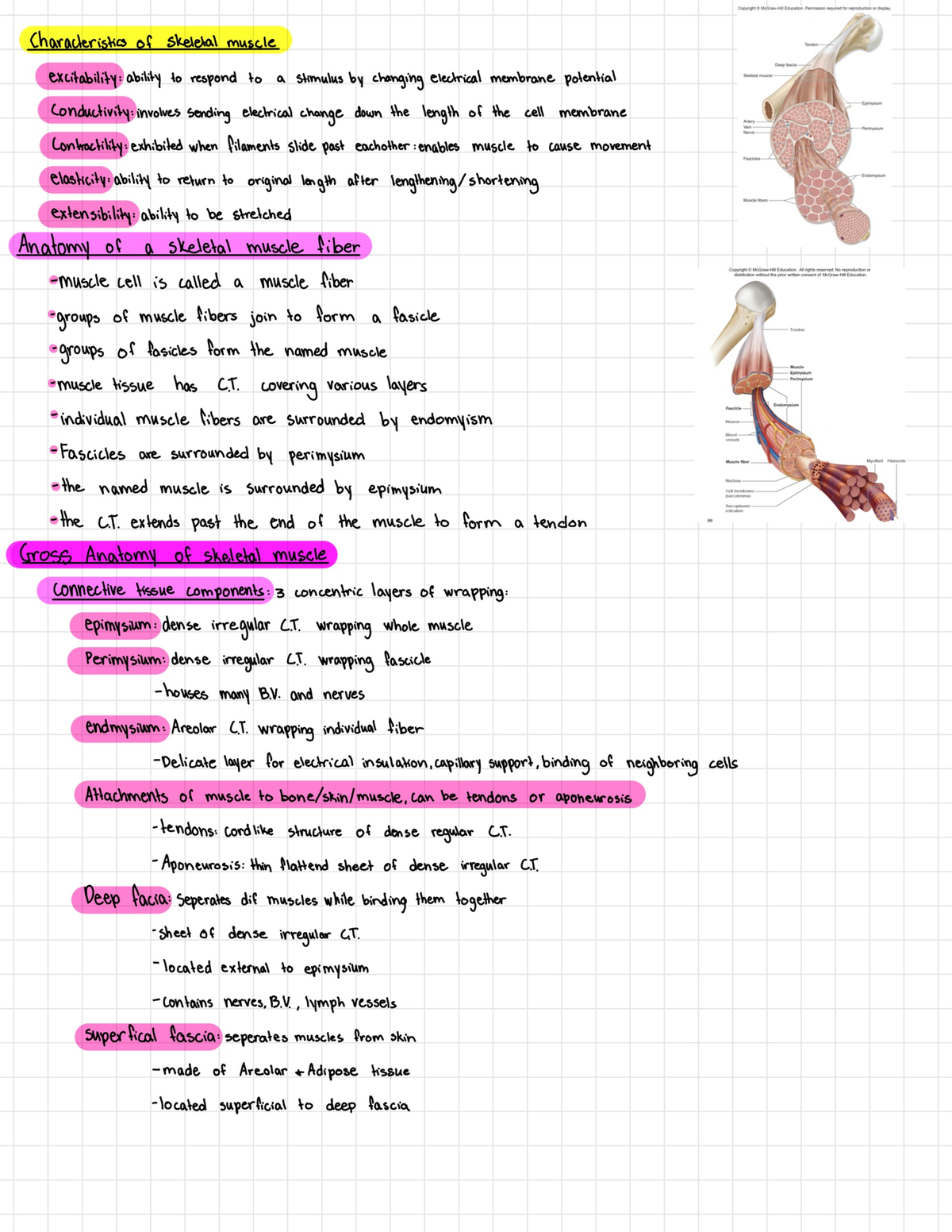 Biol Notes-20 - Anatomy And Physiology 1 Lecture Notes - BIOL221 - Studocu