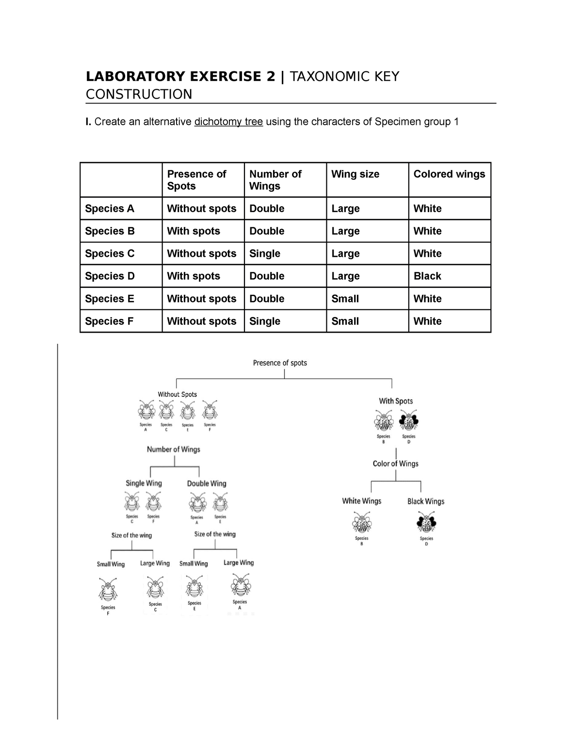 Laboratory Exercise 2-1 - LABORATORY EXERCISE 2 | CONSTRUCTION ...