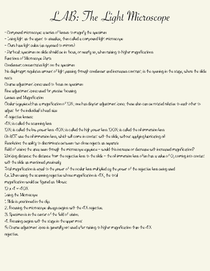 Chapter 5 highlighted - Integumentary system - Skin (Integument ...