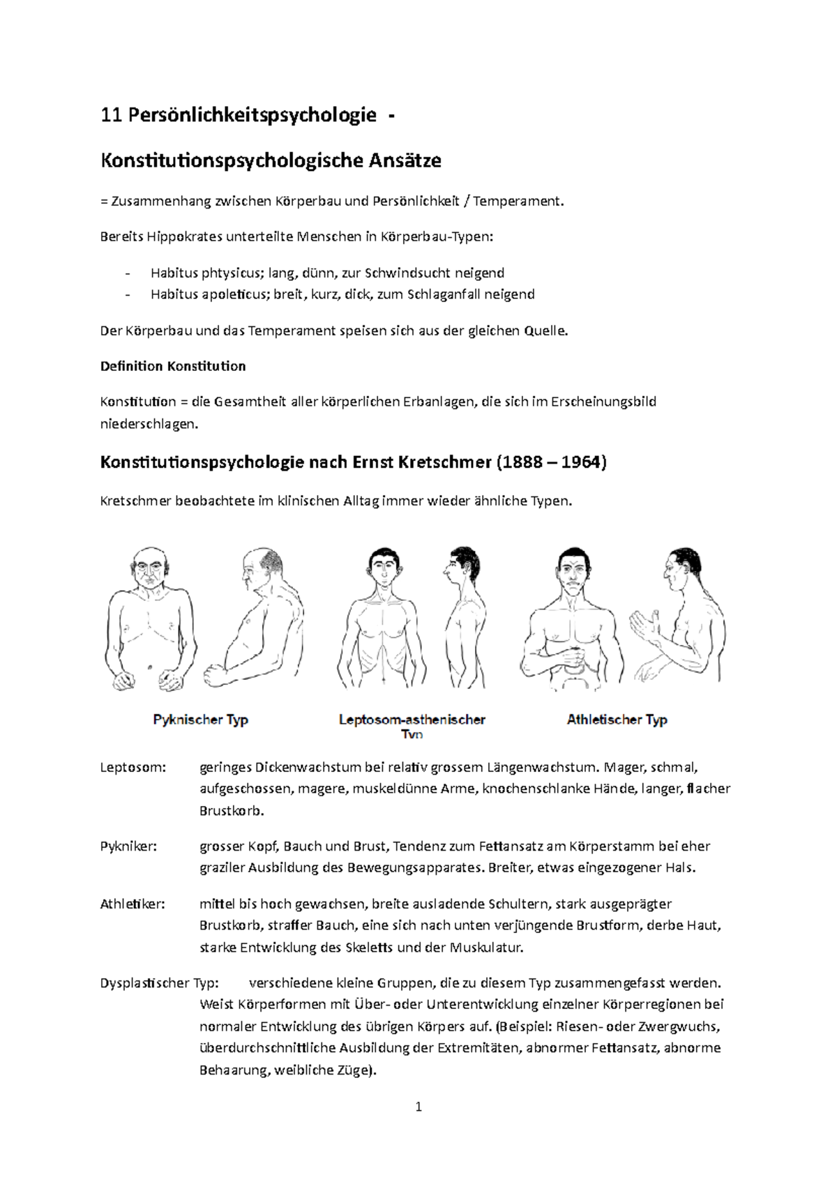 Die Fünf Konstitutionstypen: Dein Test – EYCURB