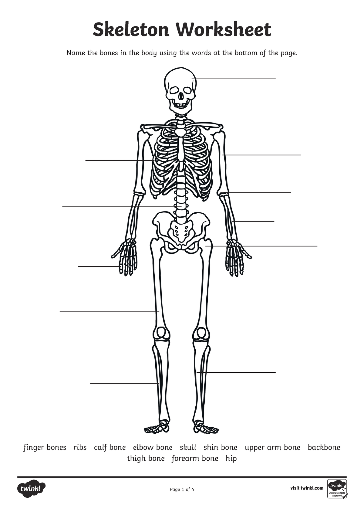 Skeleton-Worksheet - Very useful - Skeleton Worksheet Name the bones in ...