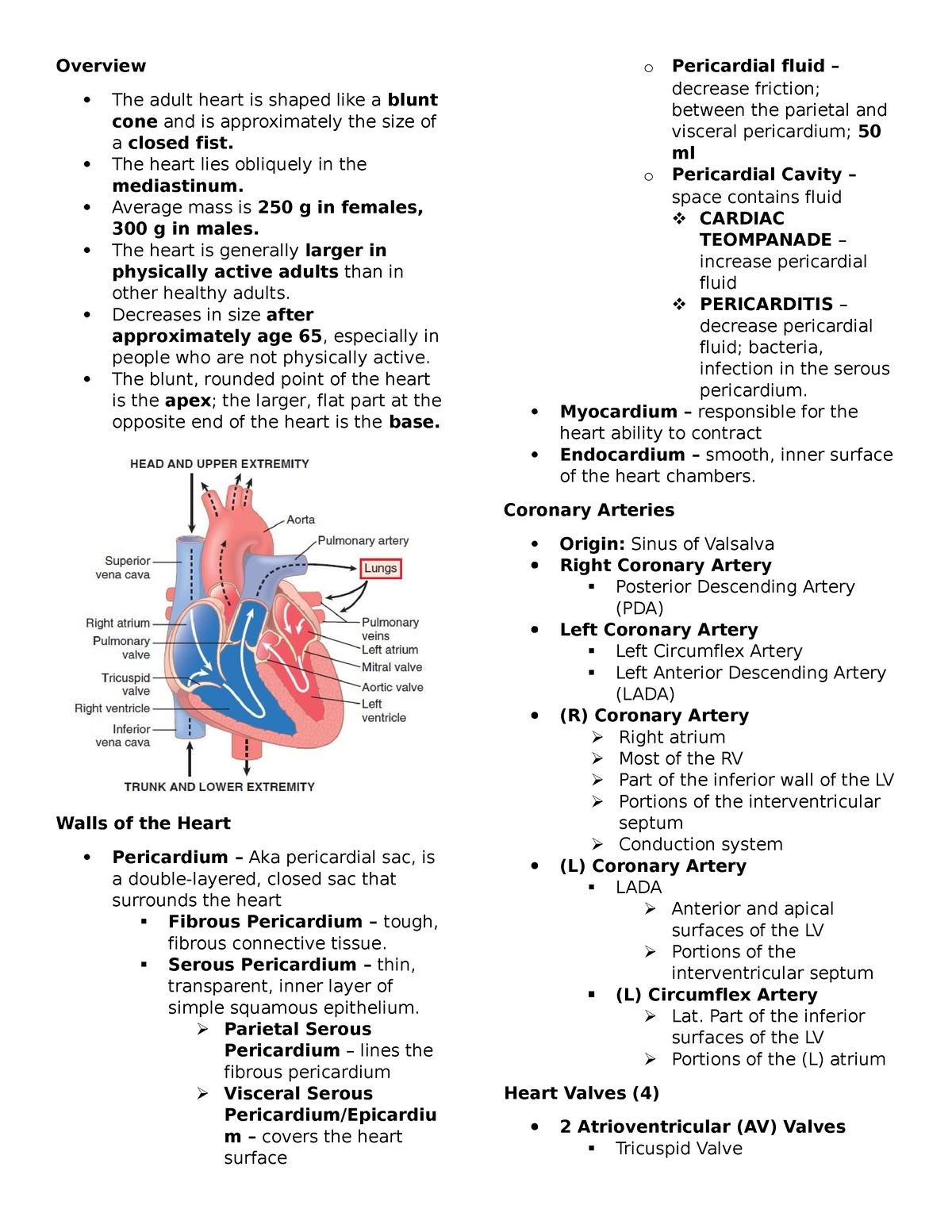 Bpcs Finals - notes - Overview The adult heart is shaped like a blunt ...