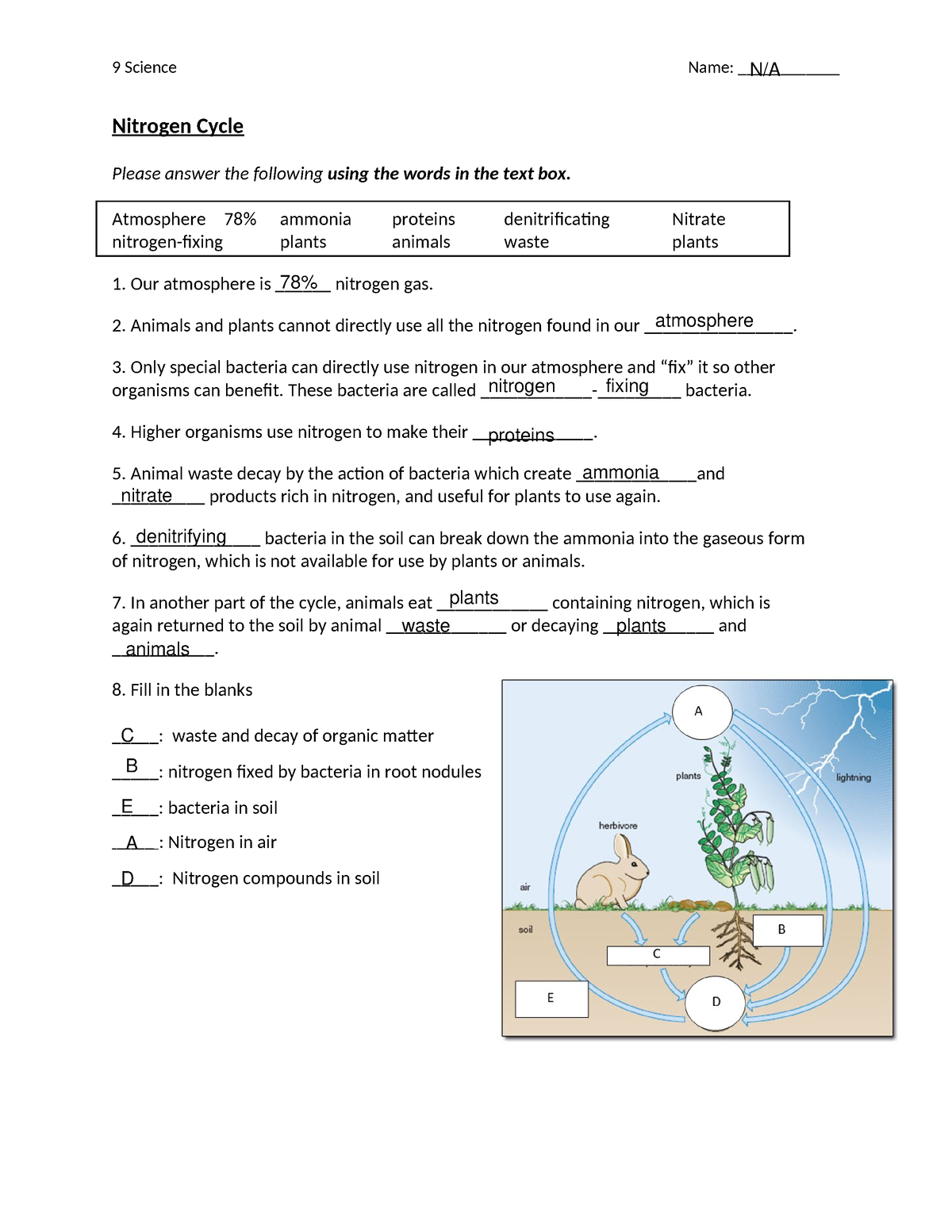 Nitrogen Cycle Worksheet 9 Science Name Nitrogen Cycle Please Answer The