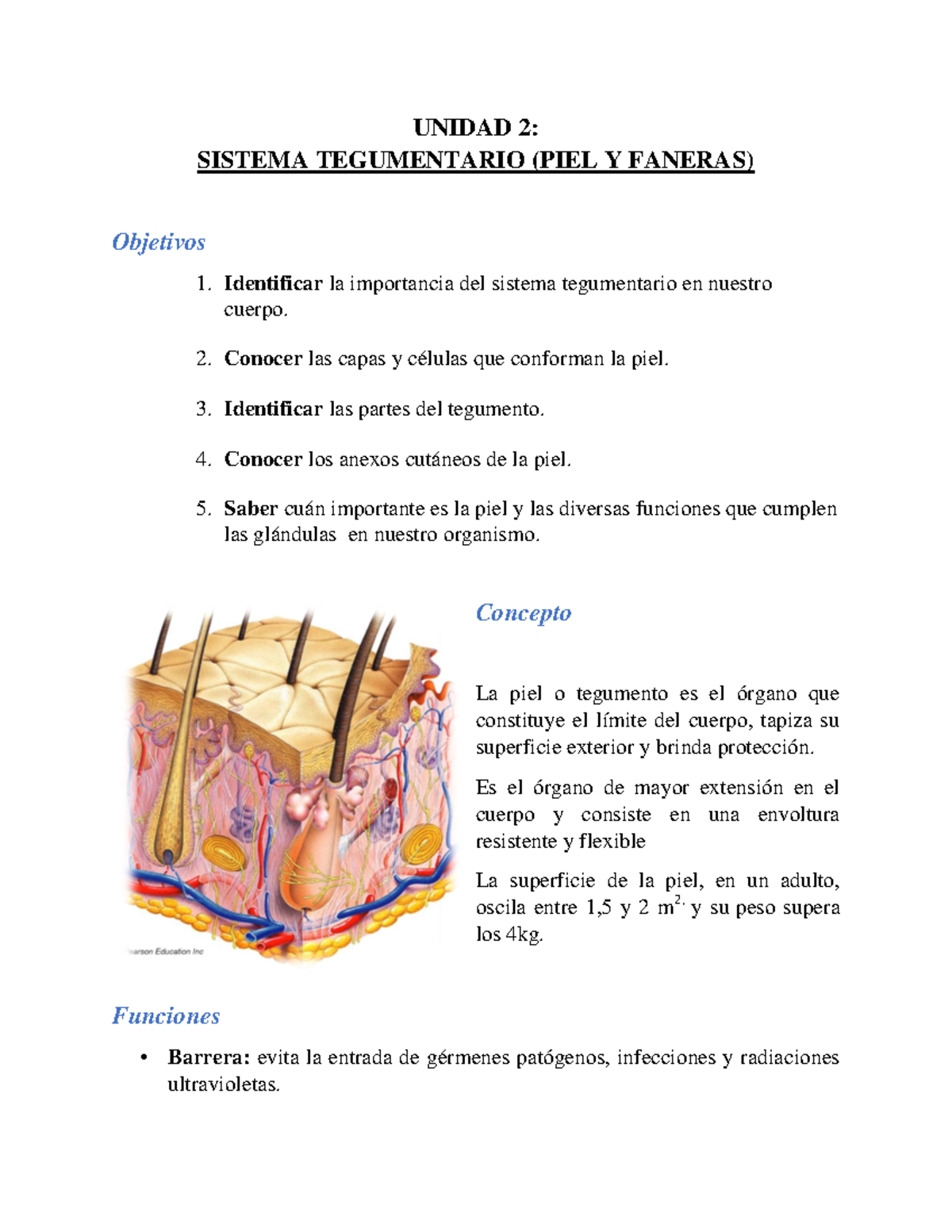 Sistema Tegumentario Unidad Sistema Tegumentario Piel Y