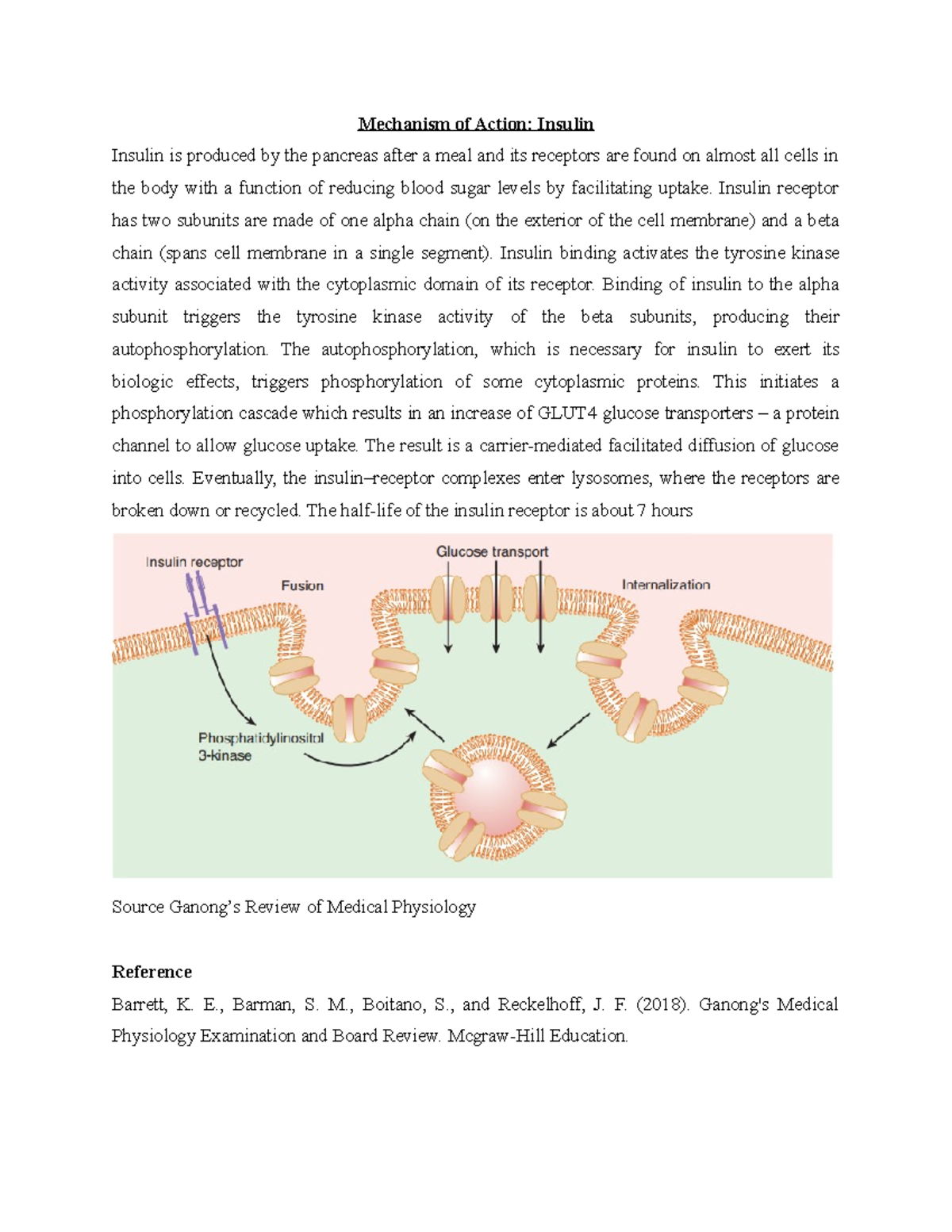 Mechanism of Action - Insulin receptor has two subunits are made of one ...