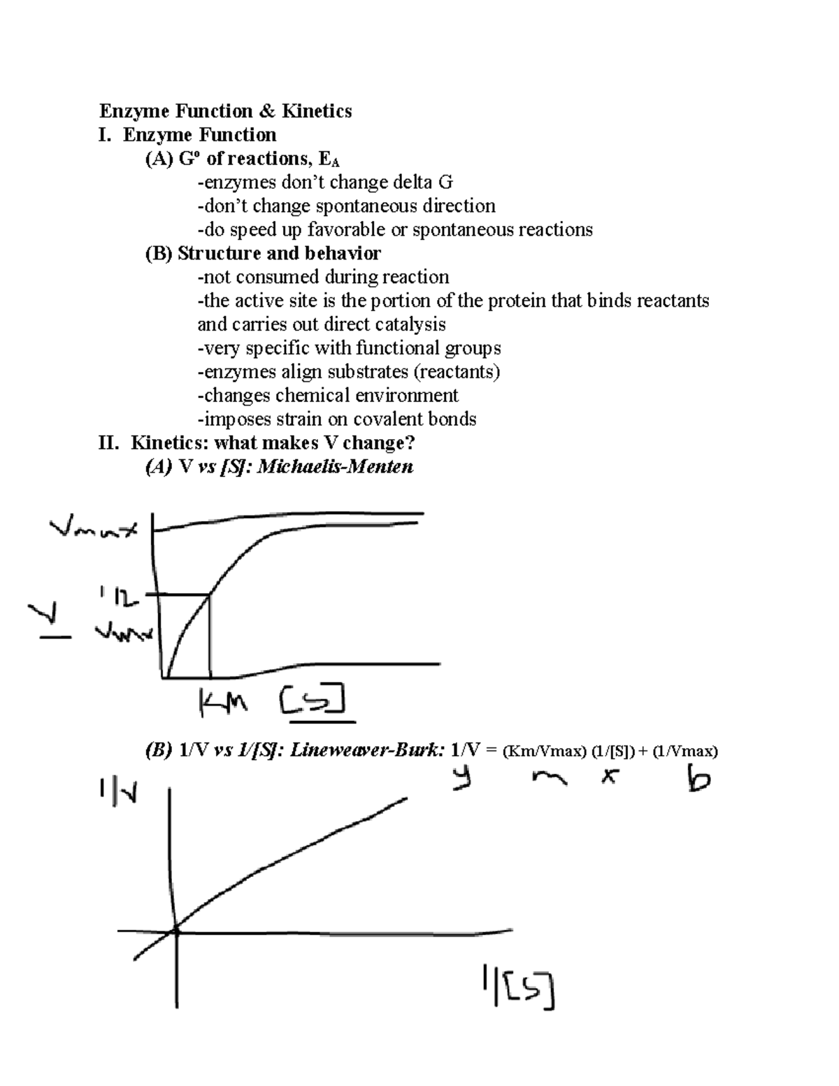 Lec 7 Enzyme Function Dr. Kasinski Enzyme Function & I. Enzyme Function (A) Go of