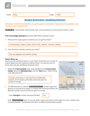 Copy of Graphing Skills SE gizmo - Name: Ruby Smith Date: 12-6- Student ...