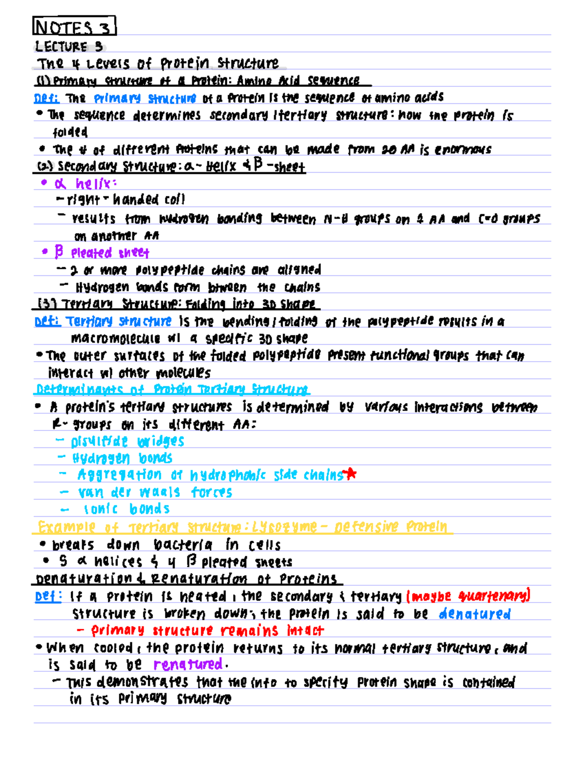 Bio20A Lecture 3 - Jeremy Lee - NOTES 3 LECTURE 3 The 4 Levels of ...