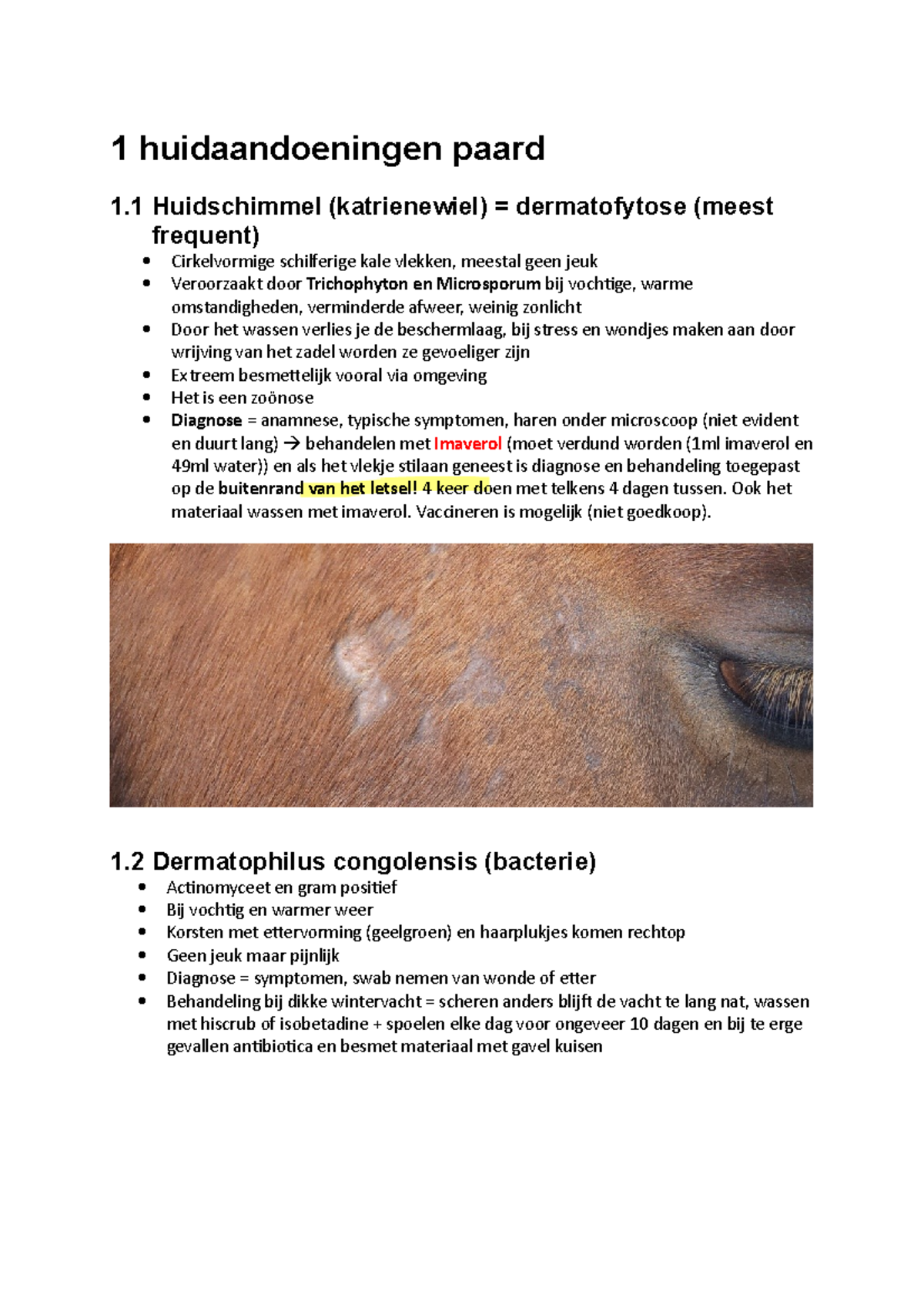 Huidaandoeningen Samenvatting 1 Huidaandoeningen Paard 1 Huidschimmel